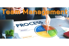 Team Management